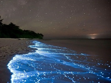 Visit Glowing Beach On Vaadhoo Island